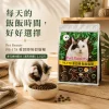 居家貓咪搭配 Pet Beauty PB-178 愛固勝無穀貓糧與食碗